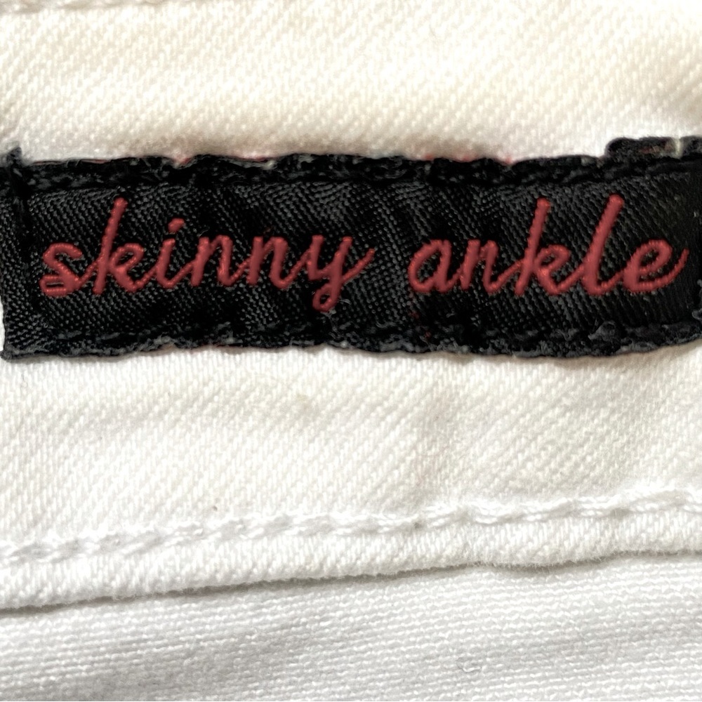 Earl Embroidered Hem Skinny Ankle Jeans - Picture 12 of 13